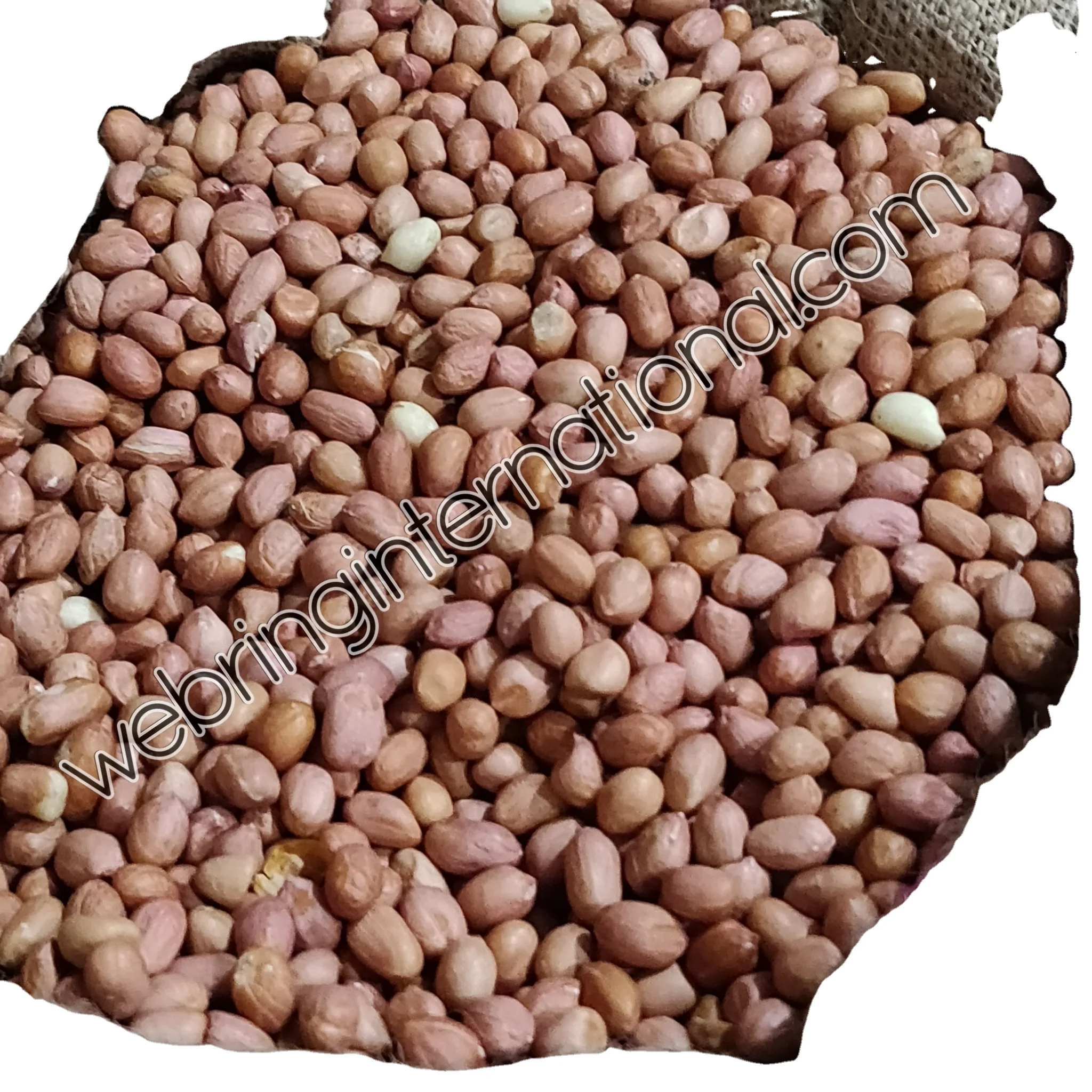 Высококачественная красновато-коричневая кожа с продолговатой формой, смелый Арахис для экспорта