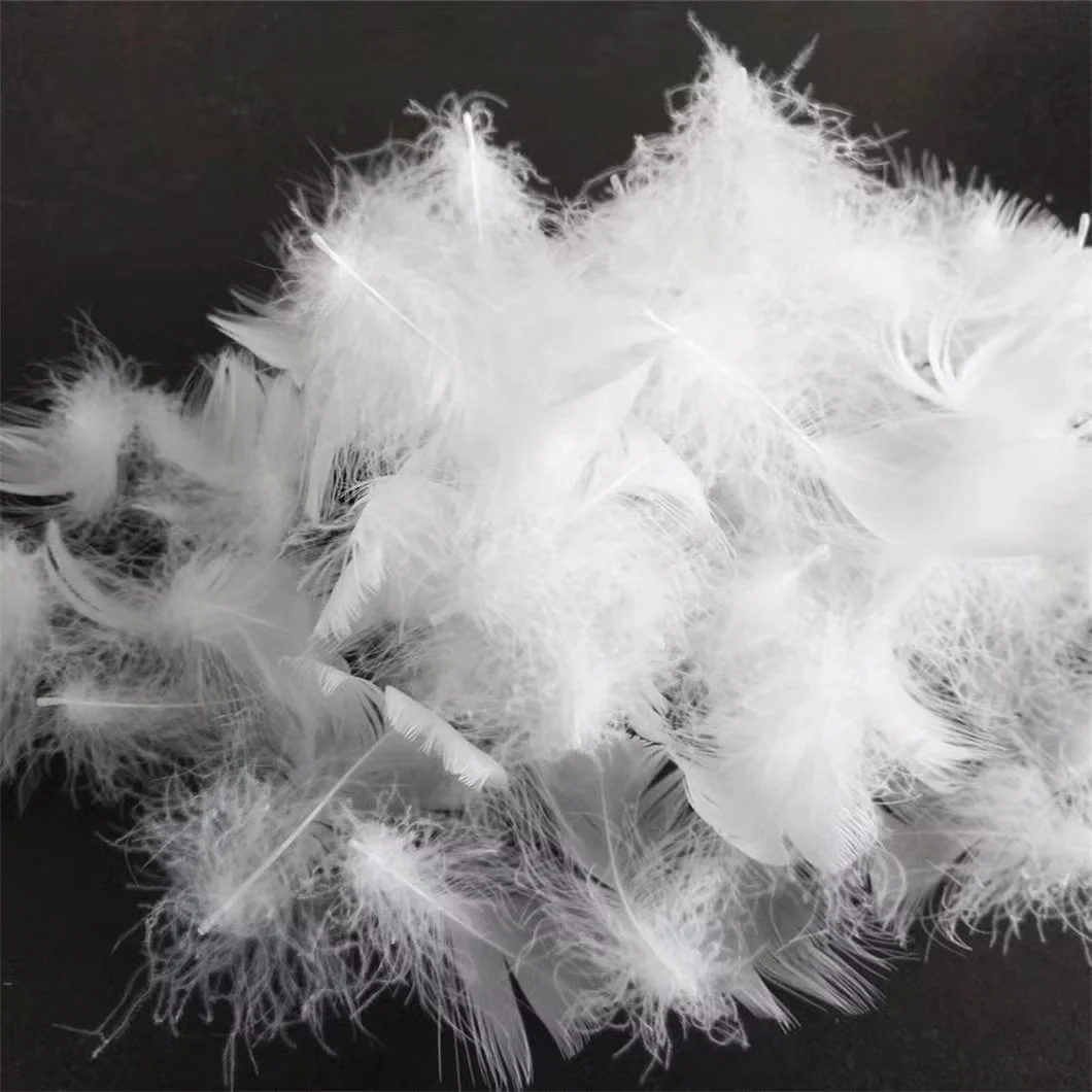 High-Quality Feathers and Down RDS Certificate Natural White 100% Washed Duck Feather 2-4cm for Pillow