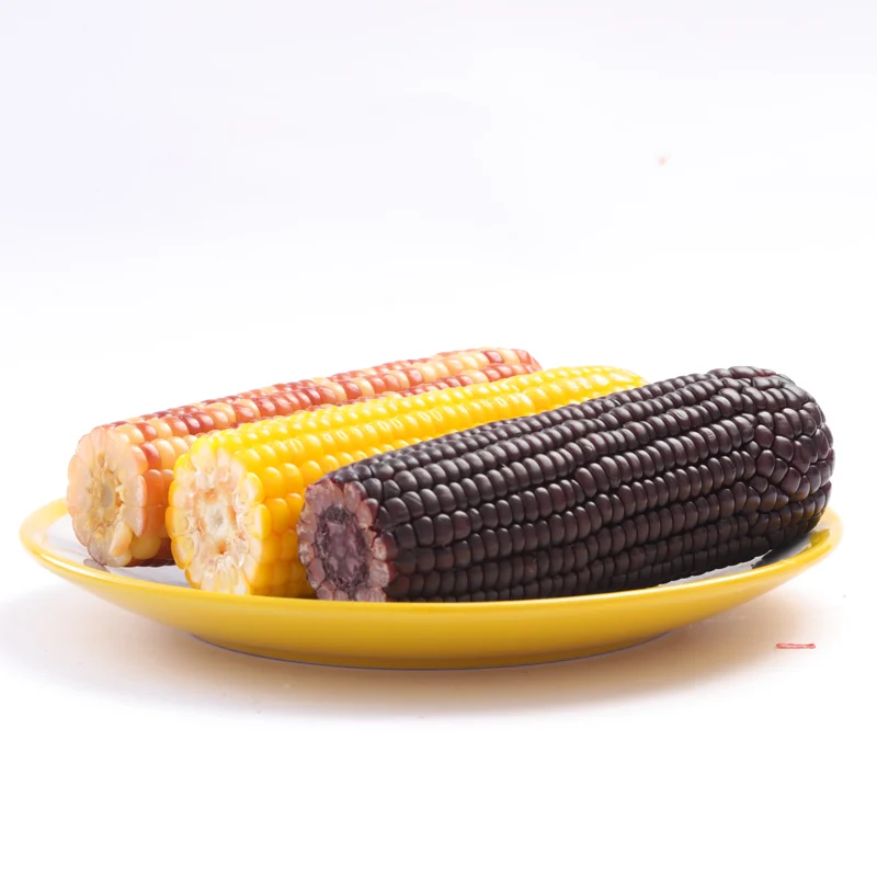 Non-GMO Waxy Corn Snacks Healthy Fresh Ingredients for Baby