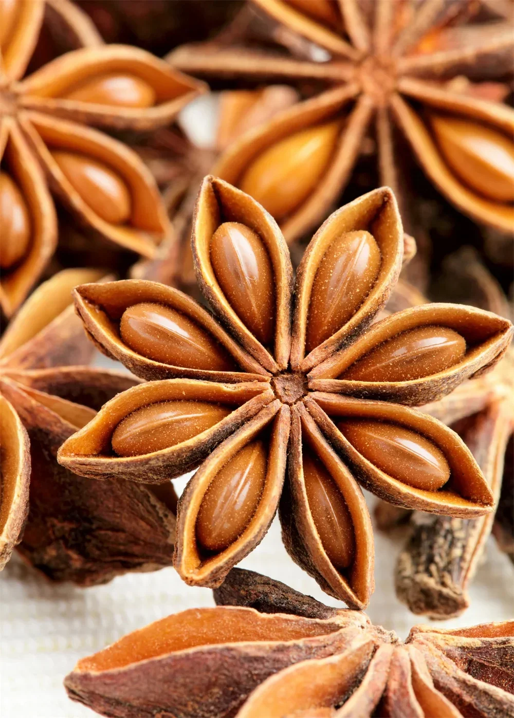 GXWW Wholesale Star High Quality Dried Spice Dried Star Anise Grade Brown Raw Single Herbs and Spices Dried Star Anise