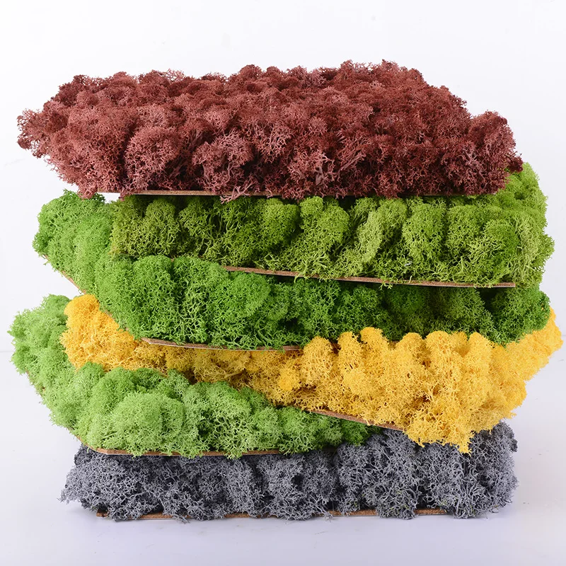 Real preserved moss  impurities fresh moss 30*30cm moss panel for  home wall decoration