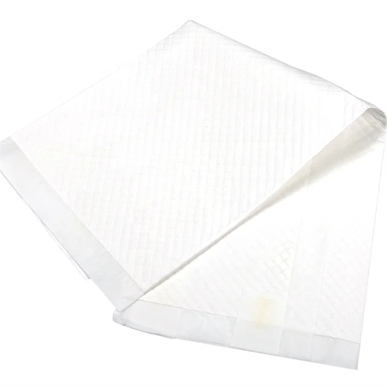 
Dog Pee Pads Training Pants Pet Training Products Type Puppy Urine Pad 60Cm 