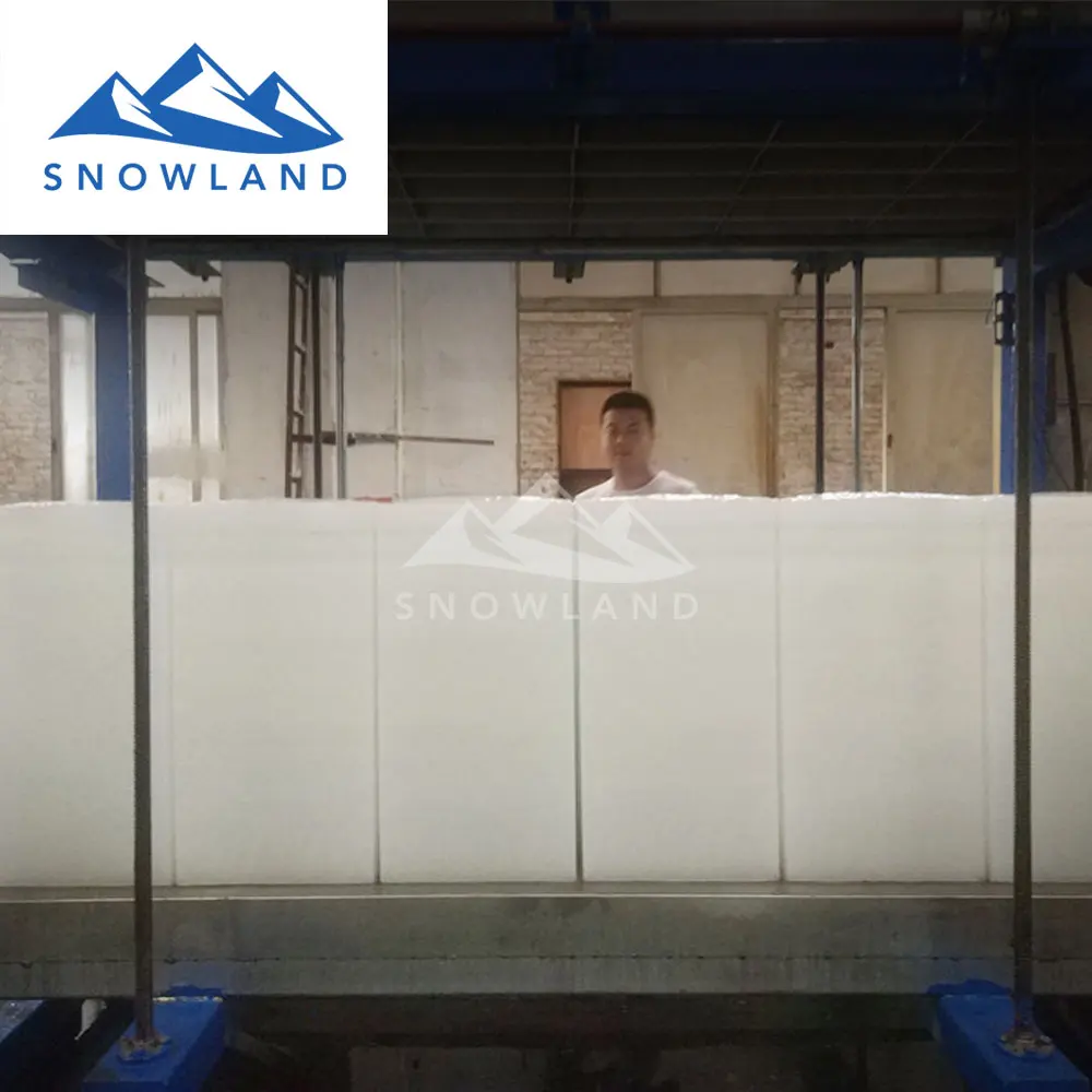 germany ice maker with 4 ton capacity block ice