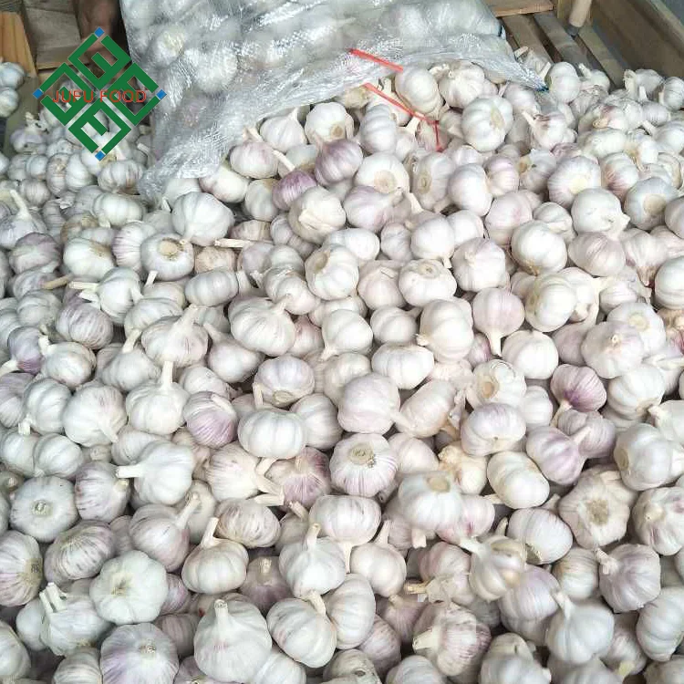 2022 China New Crop Fresh Garlic Seeds / garlic manufacturers in china