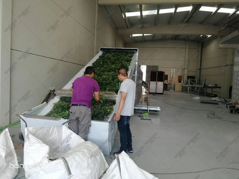 New design 30% energy saving  conveyor herb mesh belt dryer