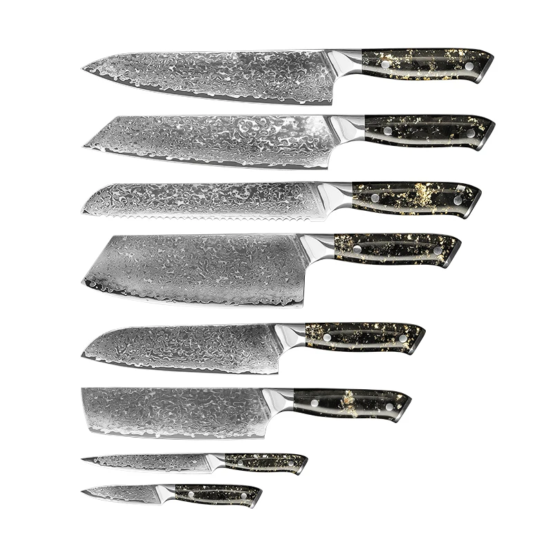High end Japanese Kitchen knives set 67 layers 9cr14Mov Damascus steel Chopping knife for kitchen