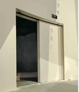 automatic plug door