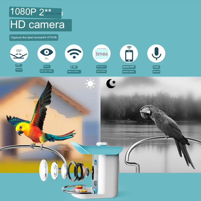 New High quality Solar powered Waterproof IP65 Video Smart Ai Bird Buddy Feeder Camera