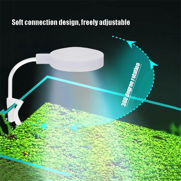 aquarium light  (2).jpg