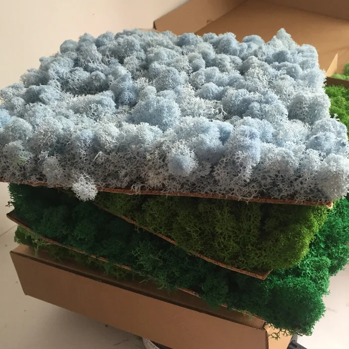 Interior Decoration Office Green Wall Panels Reindeer Preserved Moss