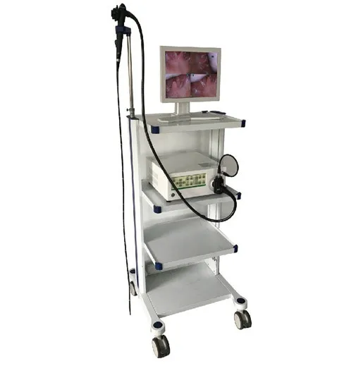 Best medical Vet Video Camera Endoscope system