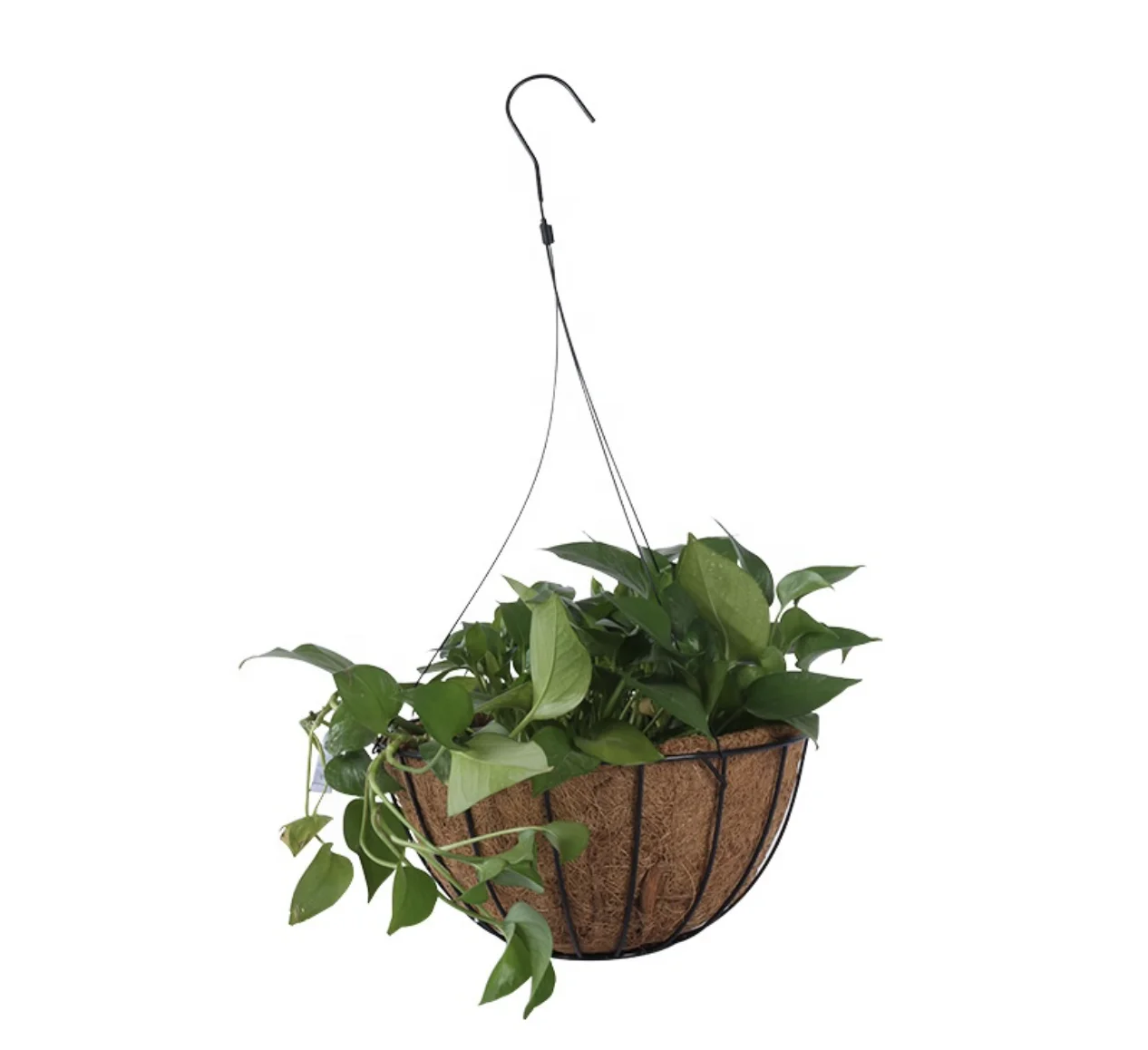 
Factory steel wire hanging basket with coconut fibre  (1600191915138)