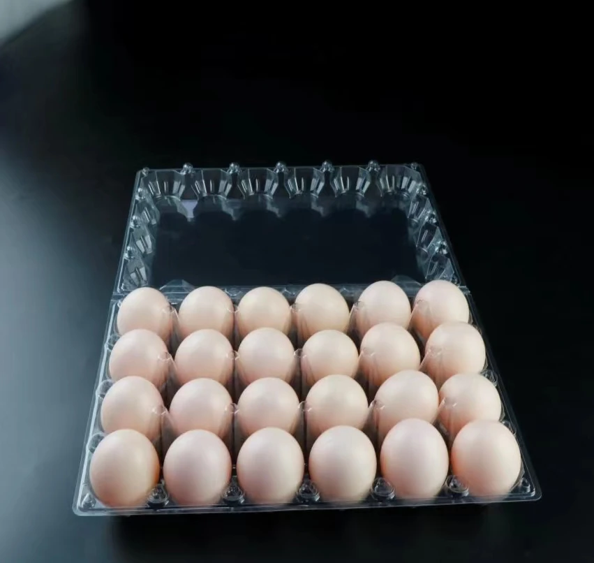 custom plastic 24 holes blister chicken egg tray packaging wholesale eggs packaging boxes for sale