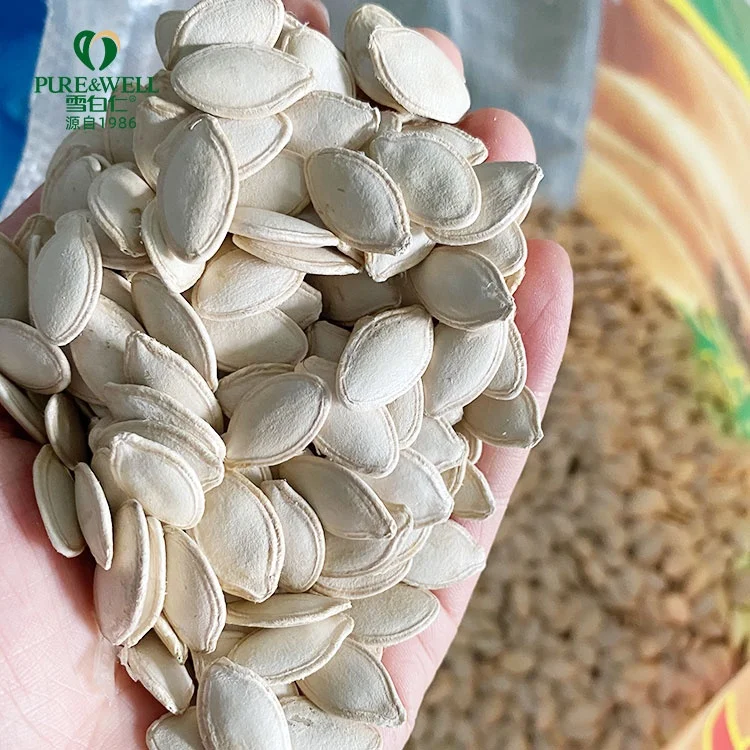new crop chinese pumpkin seeds organic pumpkin seeds price