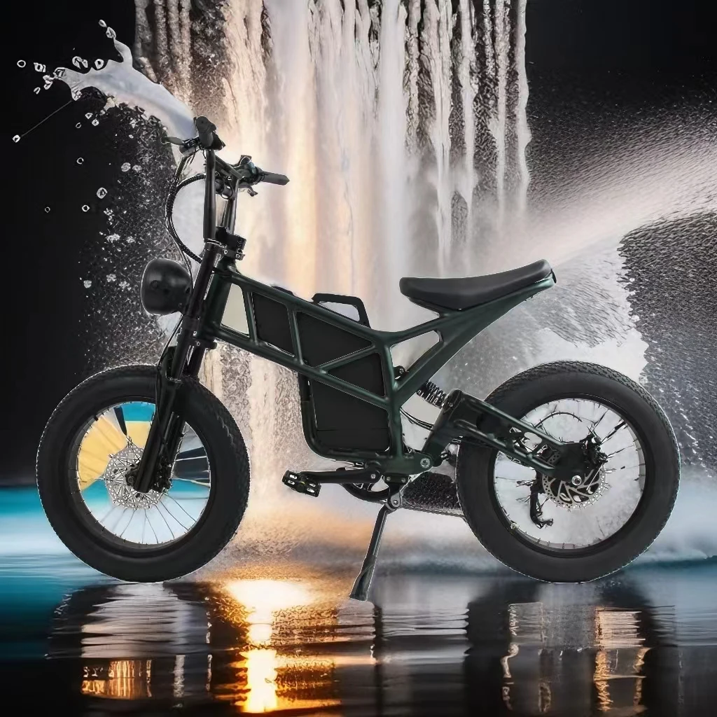 Dual electric city bike 750W power 48V lithium battery rear wheel motor integrated aluminum alloy electric bike