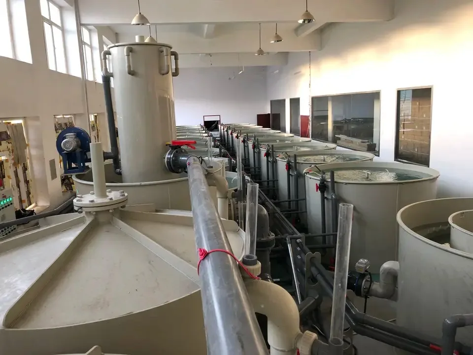 Wholesale customized high quality indoor outdoor fish tank farming ras aquaculture system for sturgeon breeding