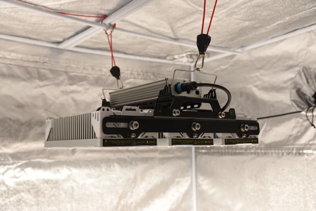 2022 Newest Products Indoor Planting Solux 650W 800W LED Grow Lights Full Spectrum