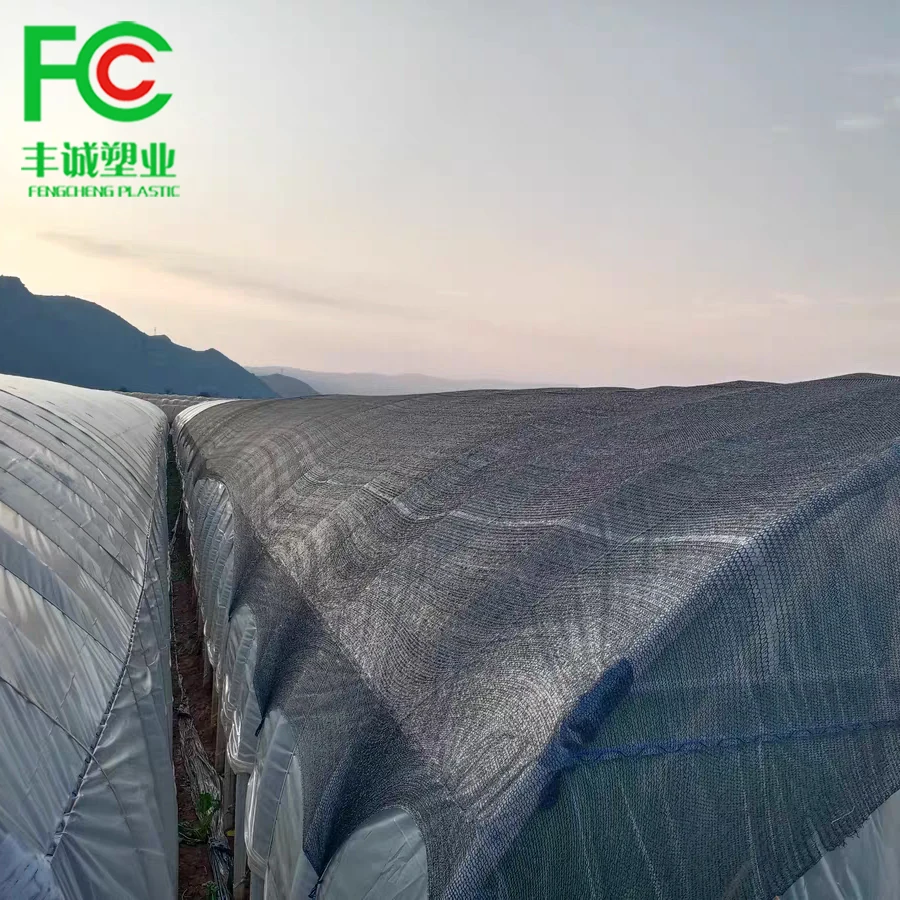 Agriculture 100% HDPE UV Black Sun Shade Net Roll For Garden Greenhouse  Wind Break Nursery ShadeNet