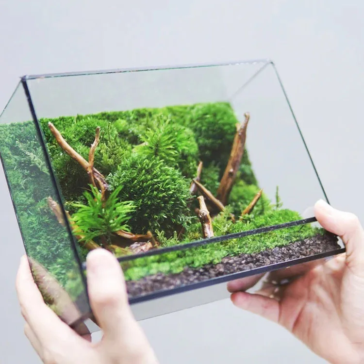 Clear Glass Terrarium House With Metal Frame Rectangle Shape Premium Quality for Home Decoration
