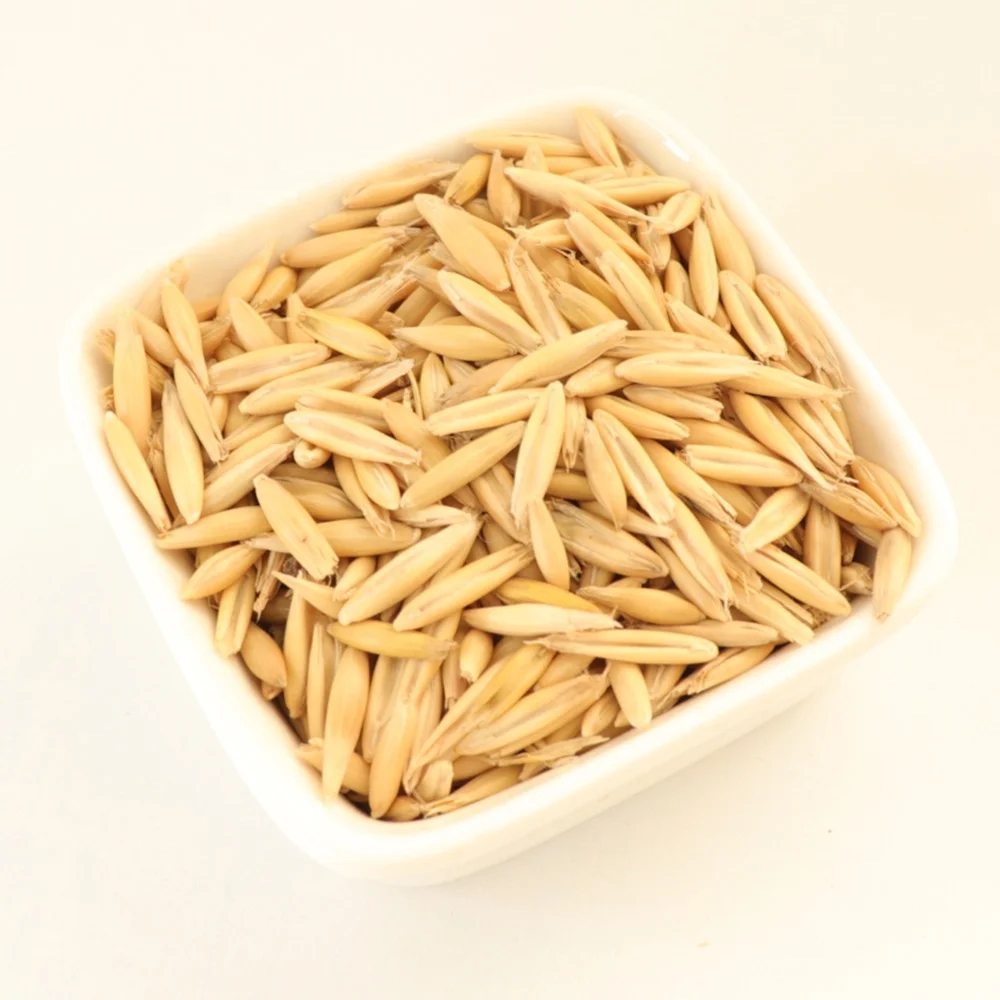 Высокое качество, лидер продаж, Оригинальные необработанные семена желтого овса оптом, распродажа