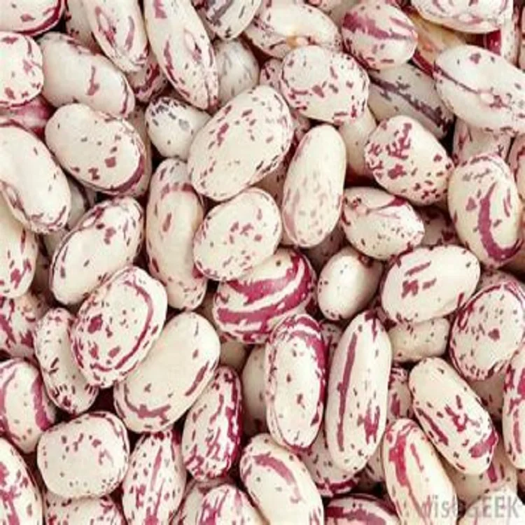 Pinto beans Light Speckled Beans LKSB для продажи