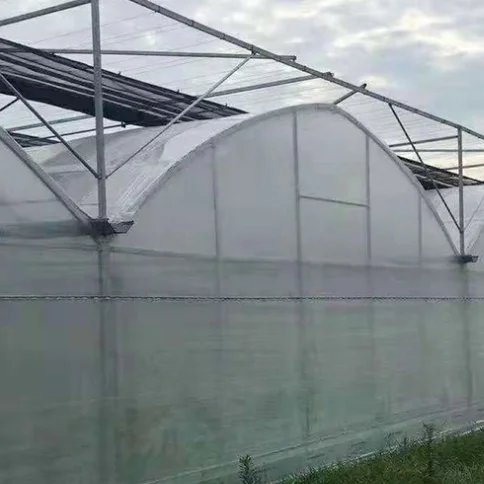 Chinese low cost plastic shed greenhouse tomato/potato/lettuce agriculture hoop house full container or half container