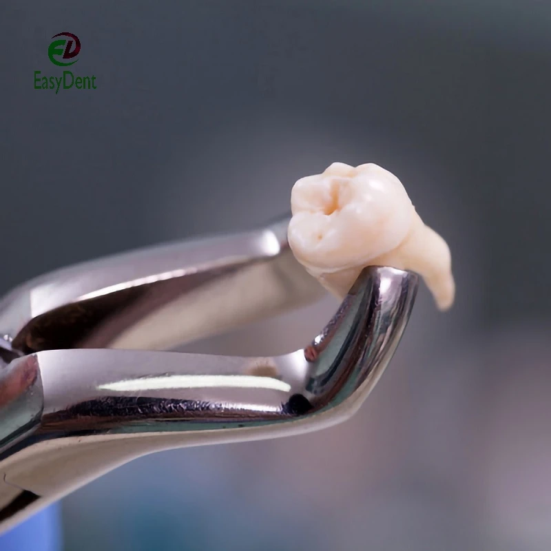 Tooth Extracting Forceps Dental Pliers for Dentist with Tool Kit Surgical Extraction Instrument