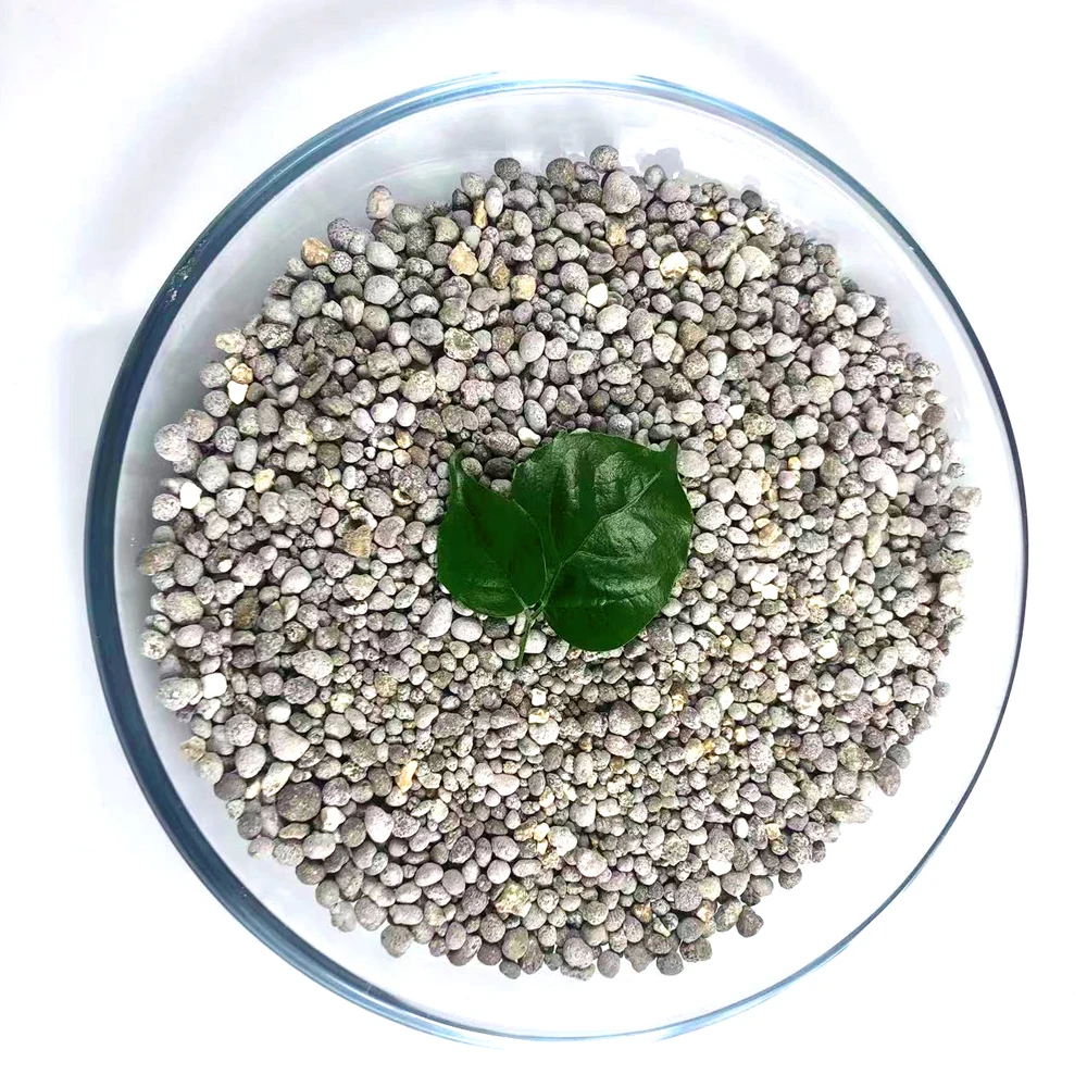 Factory Wholesale Fertilizers for Agricultural Rock Phosphate Fertilizer SSP Price of Single Super Phosphate