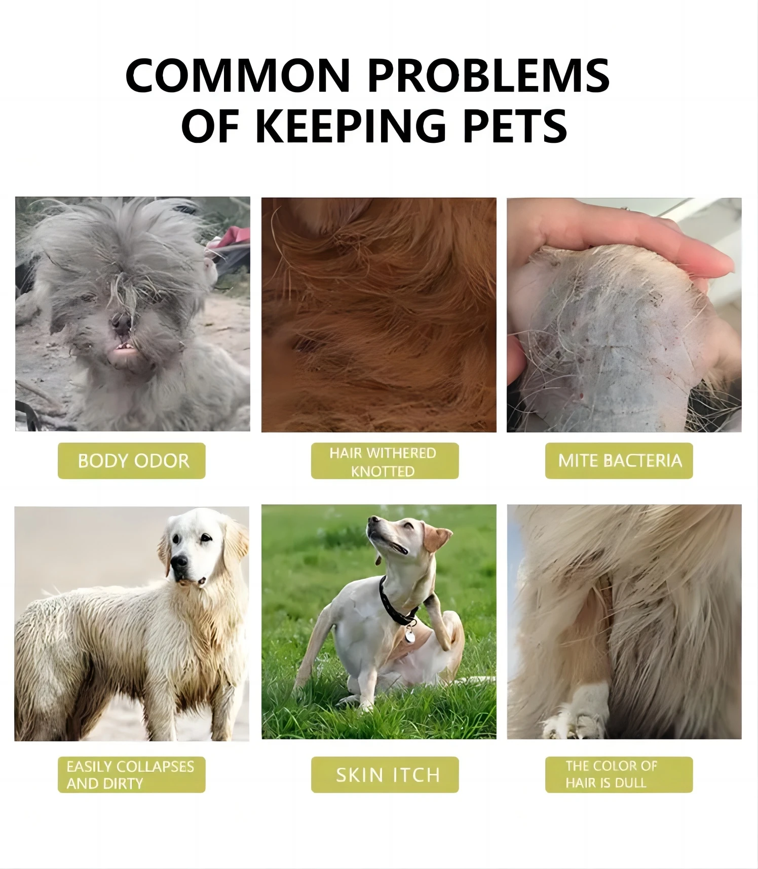 pet care products Hypoallergenic Deodorizer dog and cat shampoo private label natural pet shampoo