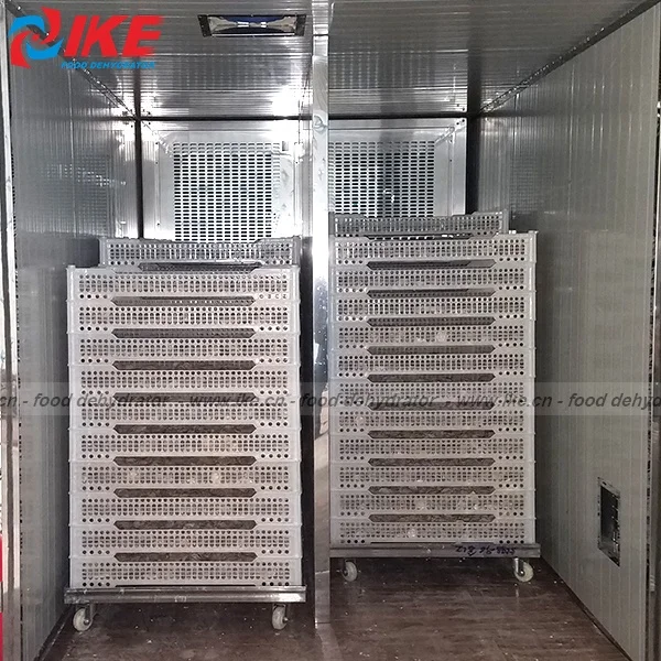 industrial low temperture drying machine for squid dried fish seafood