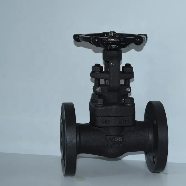 304 Stainless Steel Globe Valve Forged Carbon Steel ASTM A105n Integral Forged Flange 1/2inch DN50 600# Globe Valves