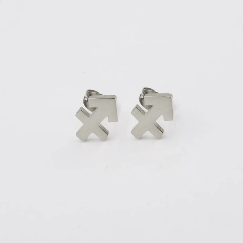 Dainty Minimalist Unisex jewelry stainless steel 18k gold plated zodiac sign stud earrings