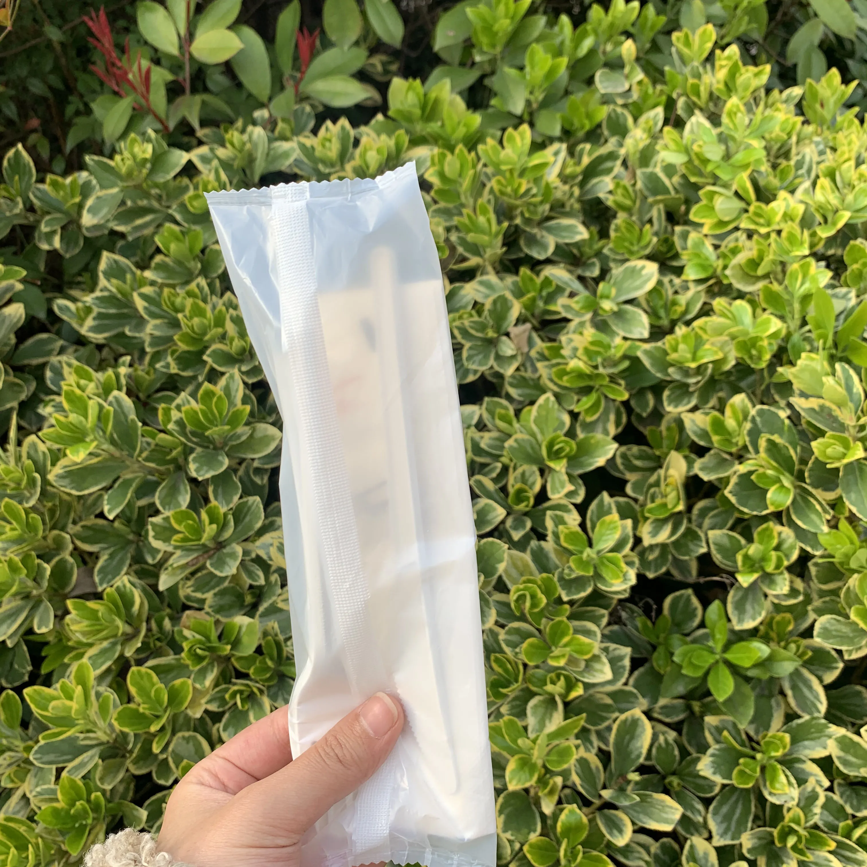 Biopoly Individual Bag Packaging Eco Friendly Disposable Biodegradable Plastic Utensils Compostable PLA Cutlery Set (1600571030074)