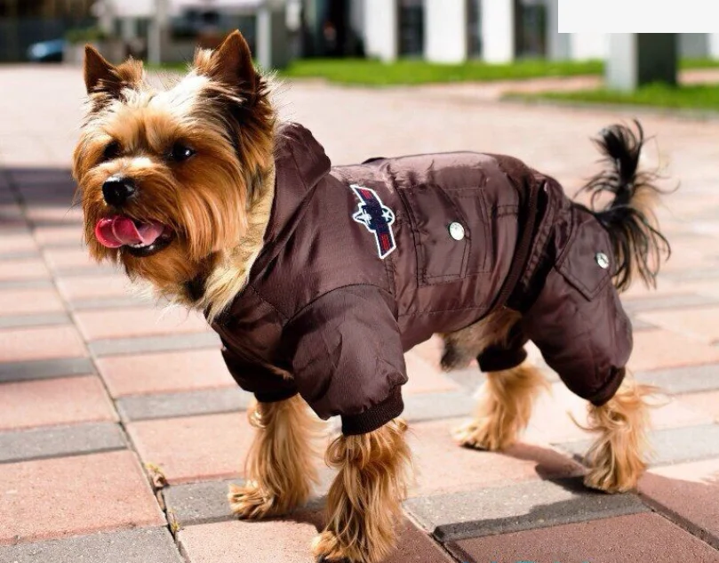 Cow Boy Hoodie Four-Legged Dogs Clothes And Accessories Custom Pet Clothes Dog