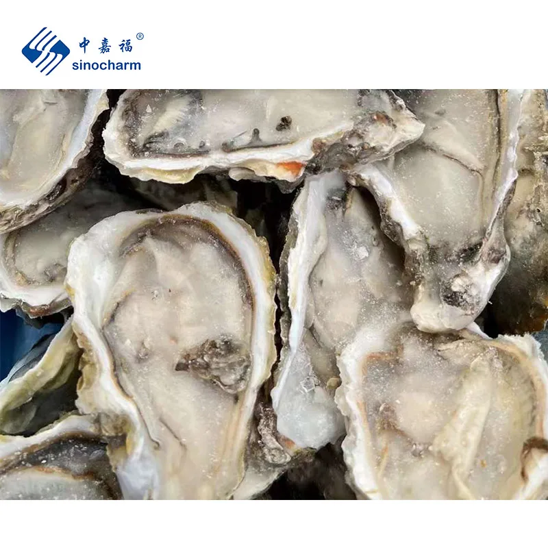 Морепродукты Sinocharm замороженные морепродукты мясо устрицы оптом IQF замороженная Устрица
