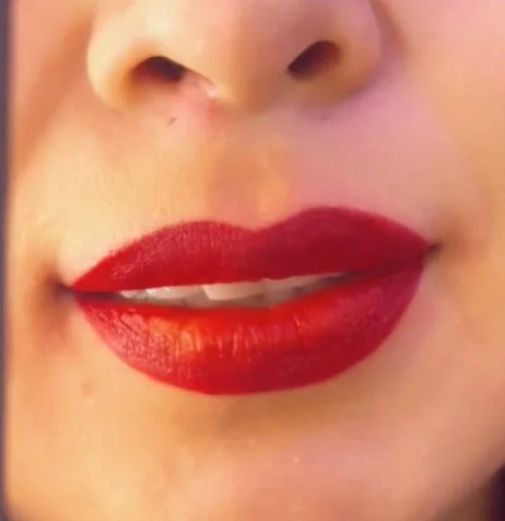 Semi  permanent vegan makeup 10 colors liquid  henna for  lip stain tint shade labial liner  with custom label