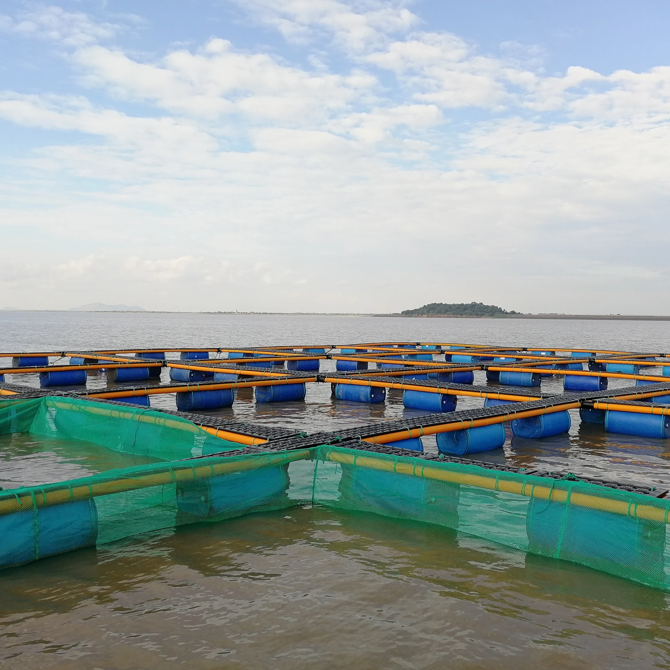 2019 HDPE плавающая клетка для рыбы осёрционной