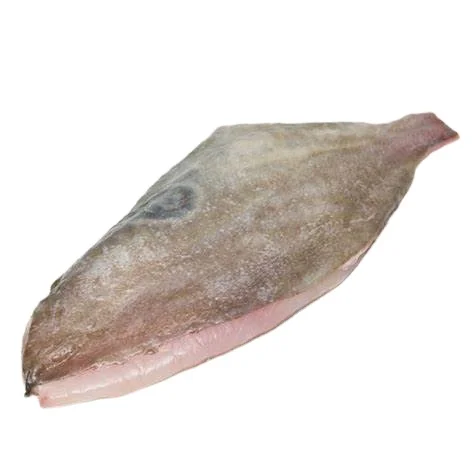 Frozen John Dory Fillet China Origin