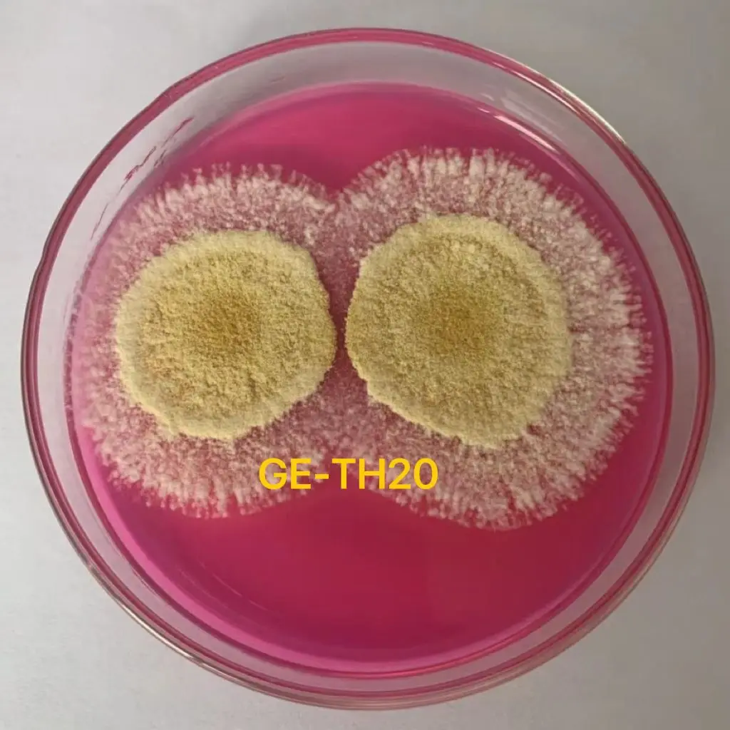 Trichoderma harzianum Agricultural Grade fungal sterilization