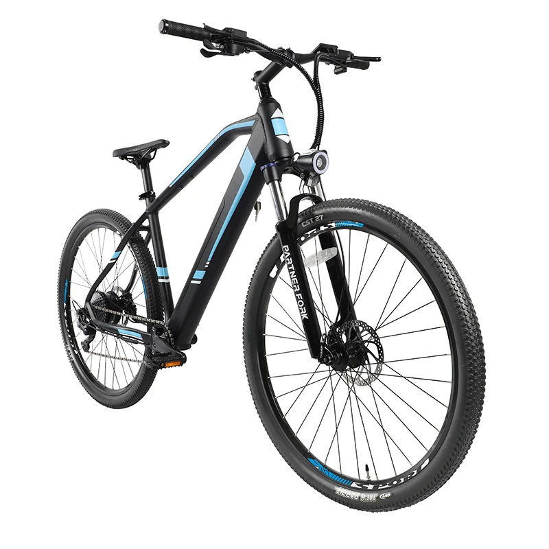 New Arrival 29 inch adult MTB Hub Motor 36V 350W 9 speed Electric Mountain bike with Lithium Battery