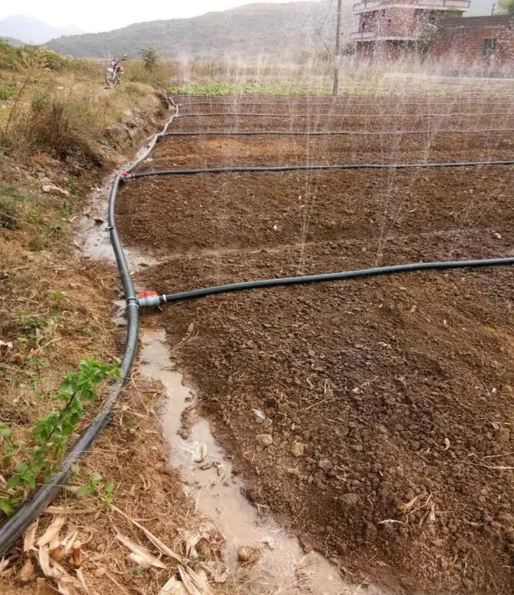 1 hectare agriculture irrigation system farm irrigation sprinkler hose micro spray tape garden rain hose