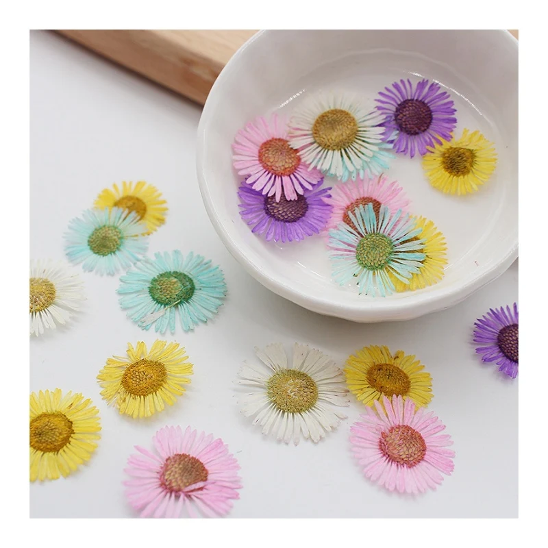 Оптовая продажа, недорогие Натуральные сушеные прессованные цветы высокого качества «сделай сам» для украшения