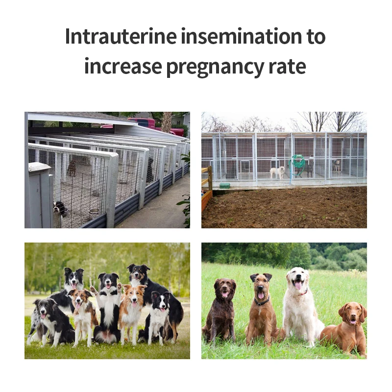 Chinese Factory Price 3.5inch Screen Canine Visual Insemination Gun Animal Artificial Insemination Gun