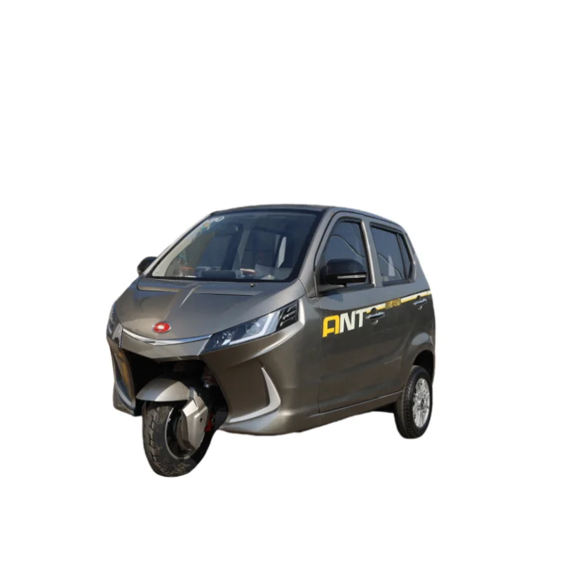 New Arrival Hot Sale Tricycles Enclosed Bajaj Three Wheel Passenger Tricycle Auto E Rickshaw Tuk e rickshaw