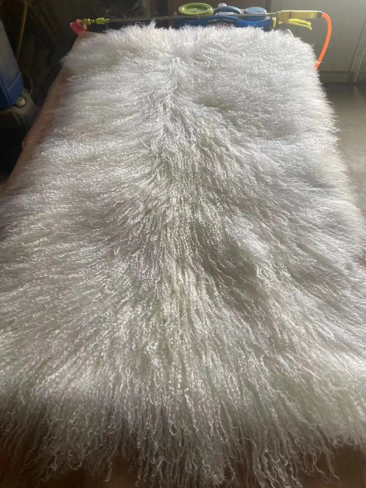 100% real white Tibet Lamb Plate Tibetan Mongolian Lamb Fur Plate Blanket mongolian lamb plate