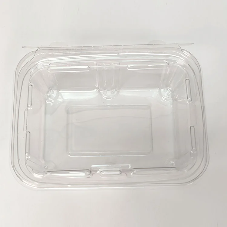 Food-Grade PET Plastic Disposable Rectangular Blister Packaging Box Clear Fruit Vegetable Salad Food Container