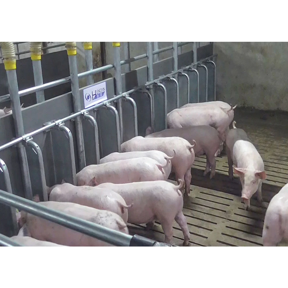durable pig fattening crate pig fatten cage best sell pig farm equipment 2024 new product