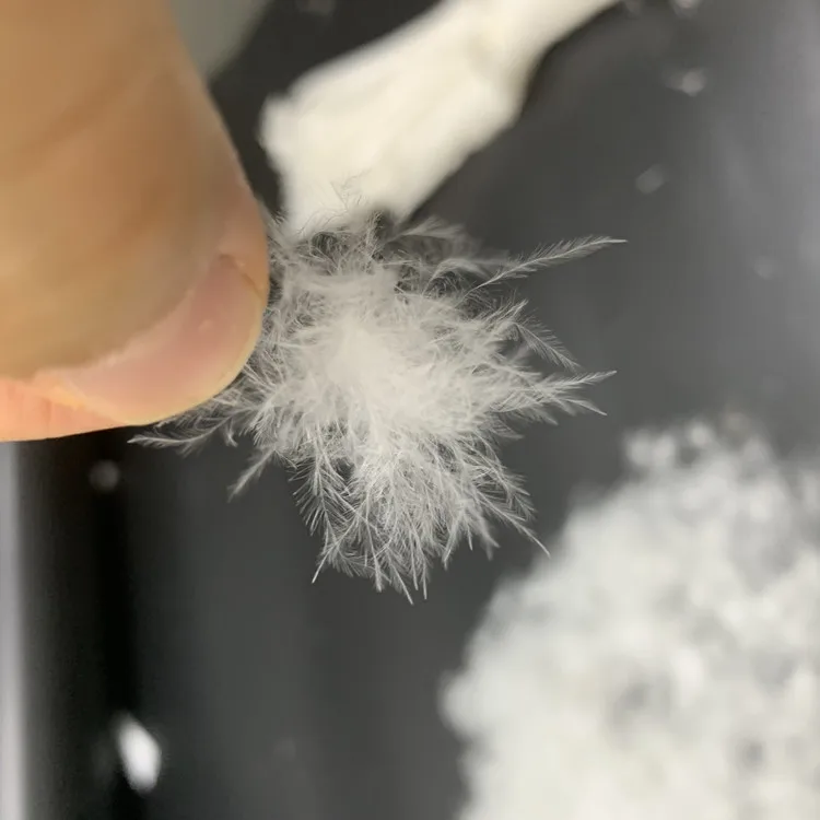 High Quality No Smell Muscovy White Duck Down FP800