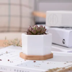 Шестигранные маленькие белые горшки для суккулентов с бамбуковым лотком, геометрический контейнер-держатель для растений С КАКТУСОМ
