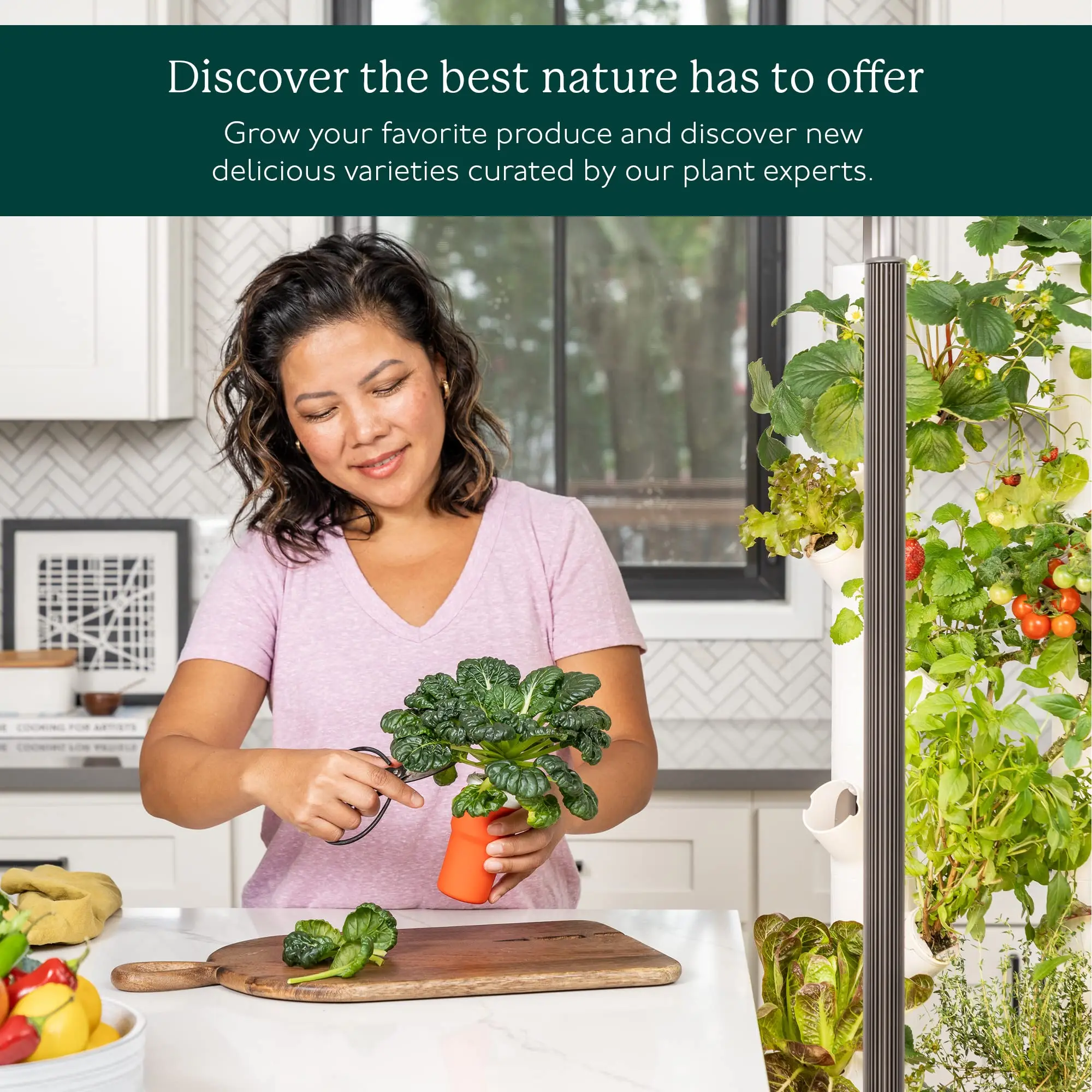 Hot Selling Gardyn Herbs Vegetables Hydroponics Growing System Best Way To Grow Herbs Inside